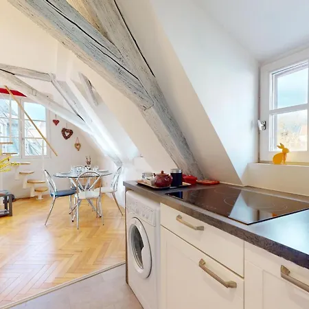Duplex Le Coup De Coeur - Hyper Centre דירה *