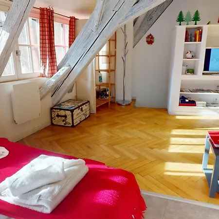 Apartment Duplex Le Coup De Coeur - Hyper Centre Colmar