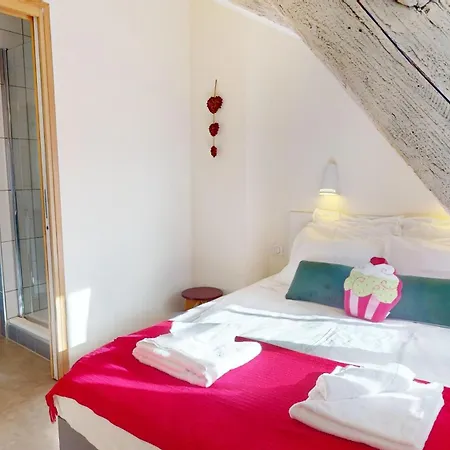 Duplex Le Coup De Coeur - Hyper Centre קולמר