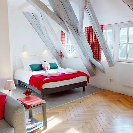 Duplex Le Coup De Coeur - Hyper Centre Apartment