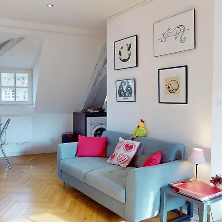 Duplex Le Coup De Coeur - Hyper Centre Colmar