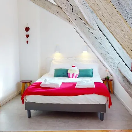 Duplex Le Coup De Coeur - Hyper Centre * Colmar